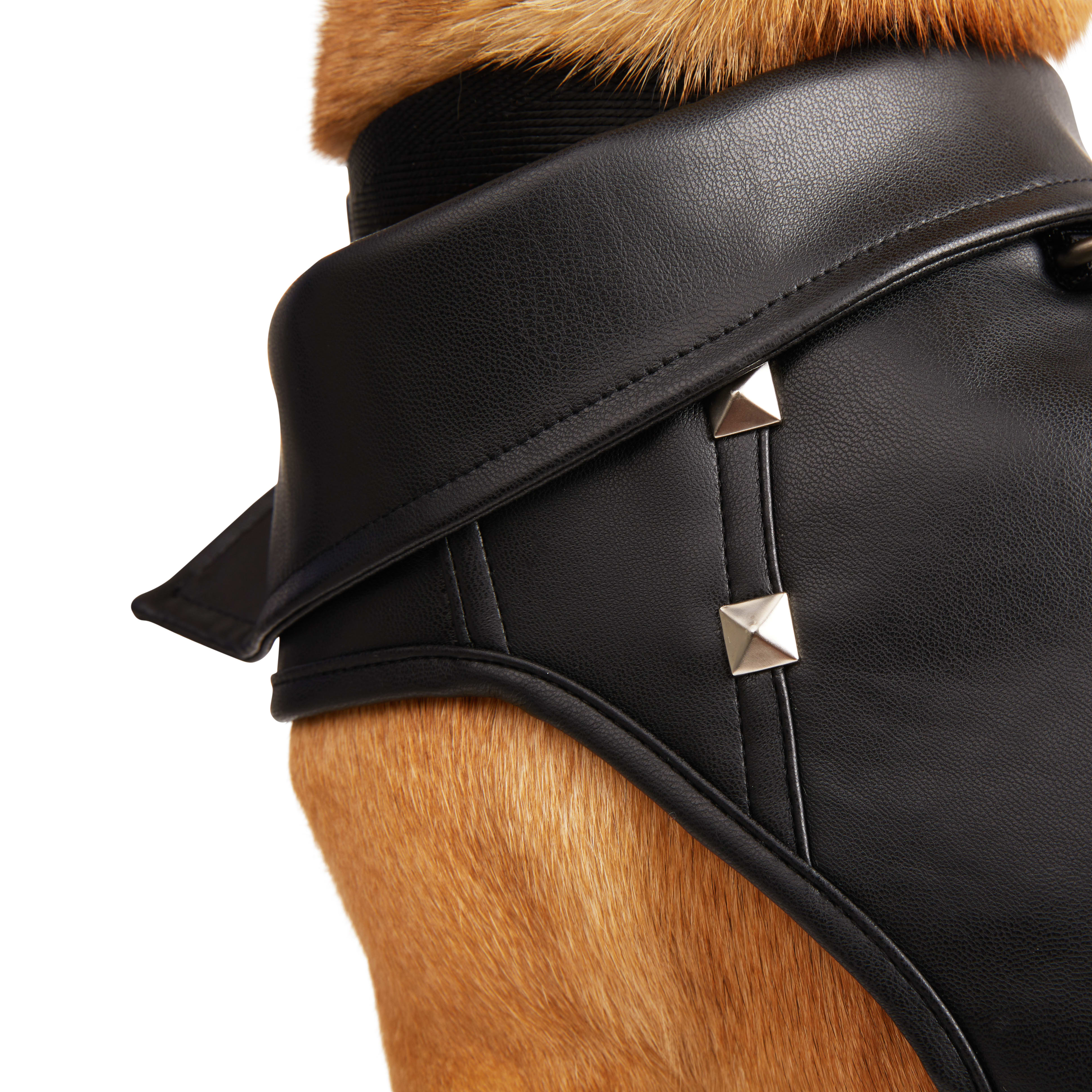 YOULY Black Biker Dog Harness， XX-Small