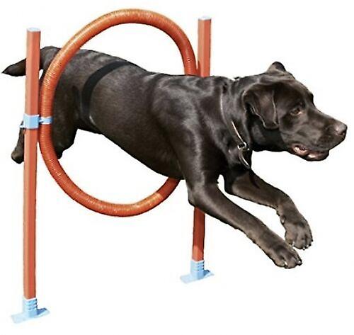Easy Assemble Dog Pet Agility Hoop With 6 Height Positions Fun Exercise.