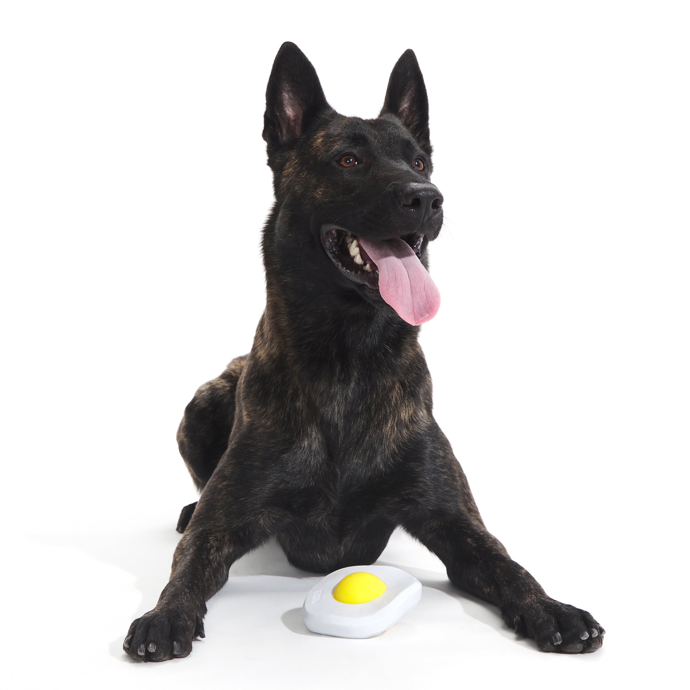 BARK Egg Over Hard Dog Toy， White and Yellow - Barkfest in Bed