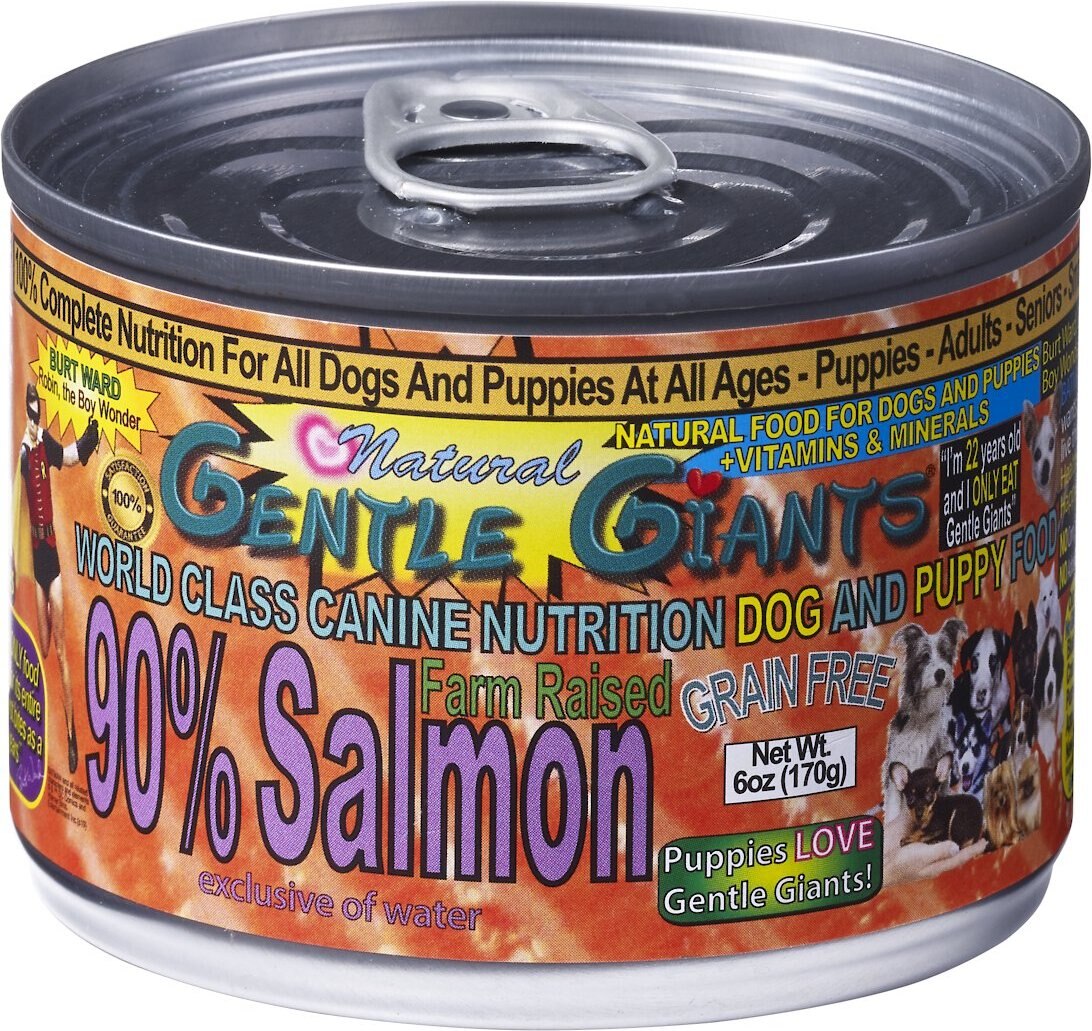 Gentle Giants Natural Non-GMO Dog and Puppy Grain-Free Salmon Wet Dog Food