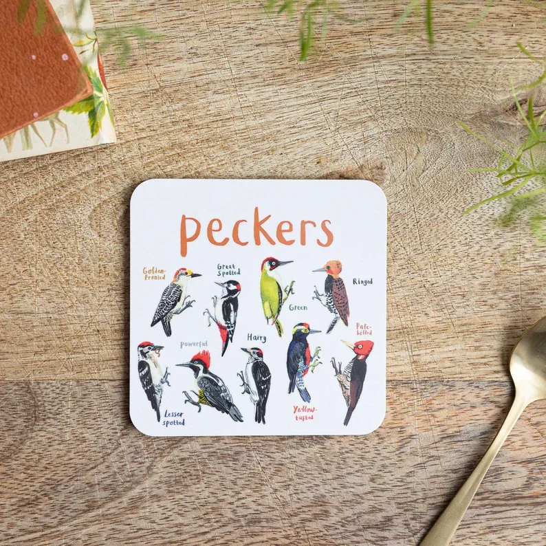 49% OFF🐦Set of 6 Bird Pun Coasters