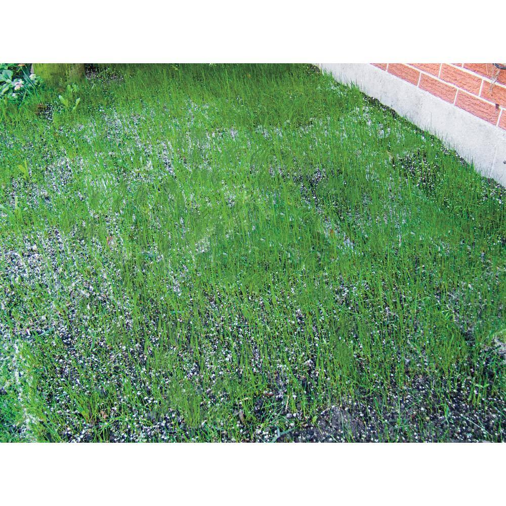 Gardens Alive! 18 in. x 48 in. Turf Alive III Lawn Seed Mat with Rhizomes 2198