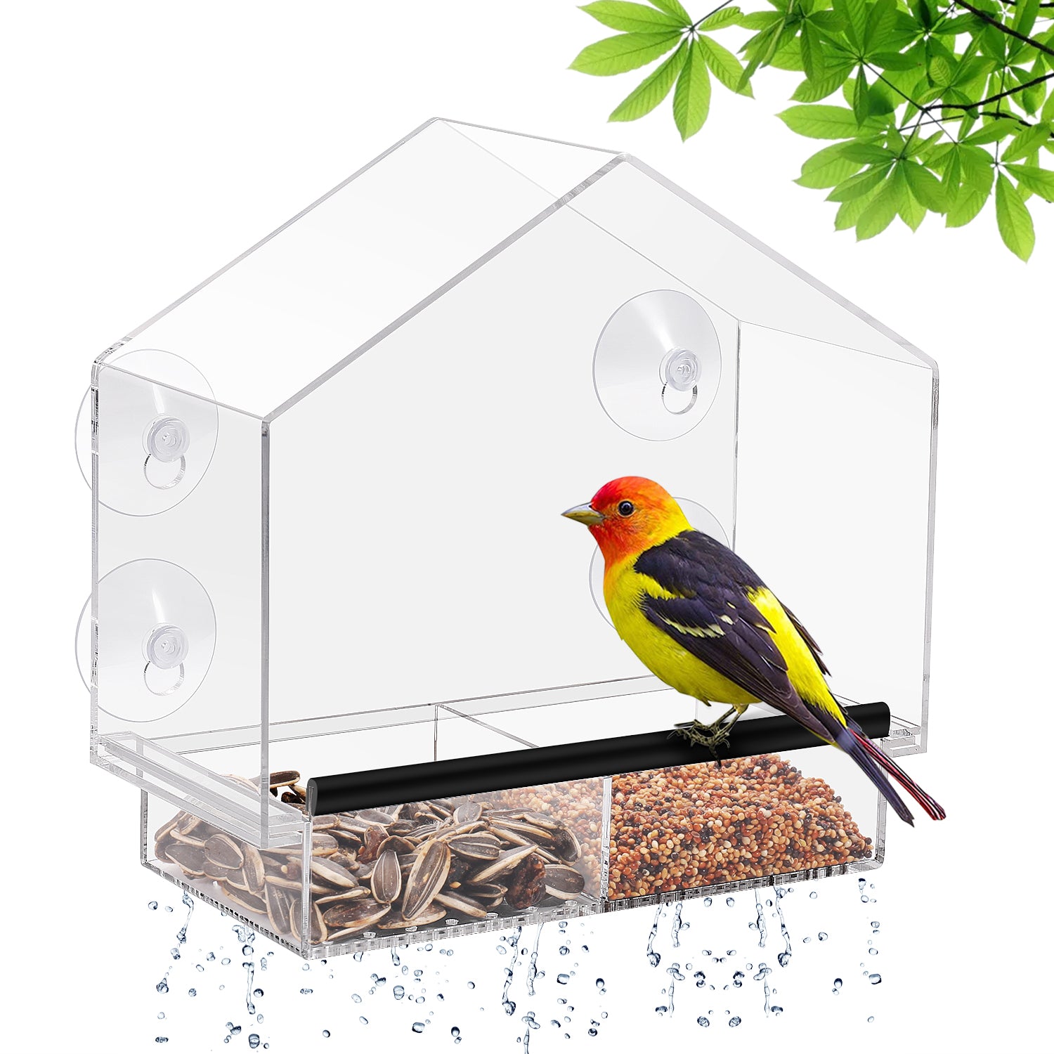 Window Bird Feeders with Strong Suction Cups， Acrylic Clear Bird House to View Large Wild Birds， Cardinal， Finch， and Chickadees， Removable Seed Tray with Drain Holes， Easy Clean， Great Gift