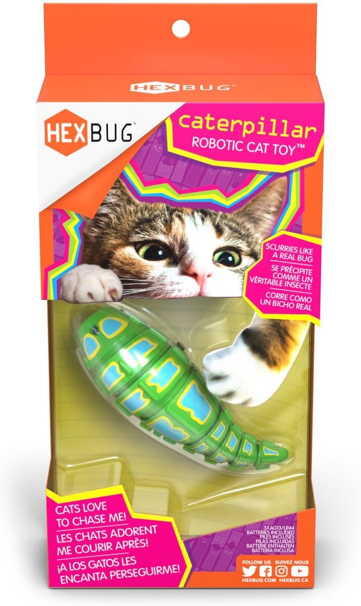 Hexbug Caterpillar Cat Toy