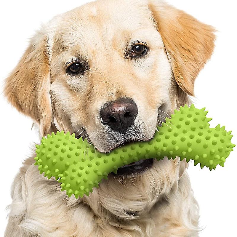 Bite resistant bouncy dog bone toy