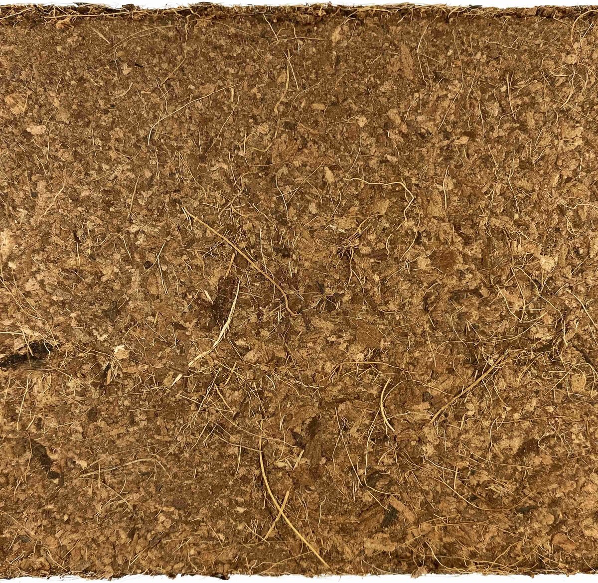 Komodo Coir Peat Brick Single Reptile Bedding， Brown， 20-gal