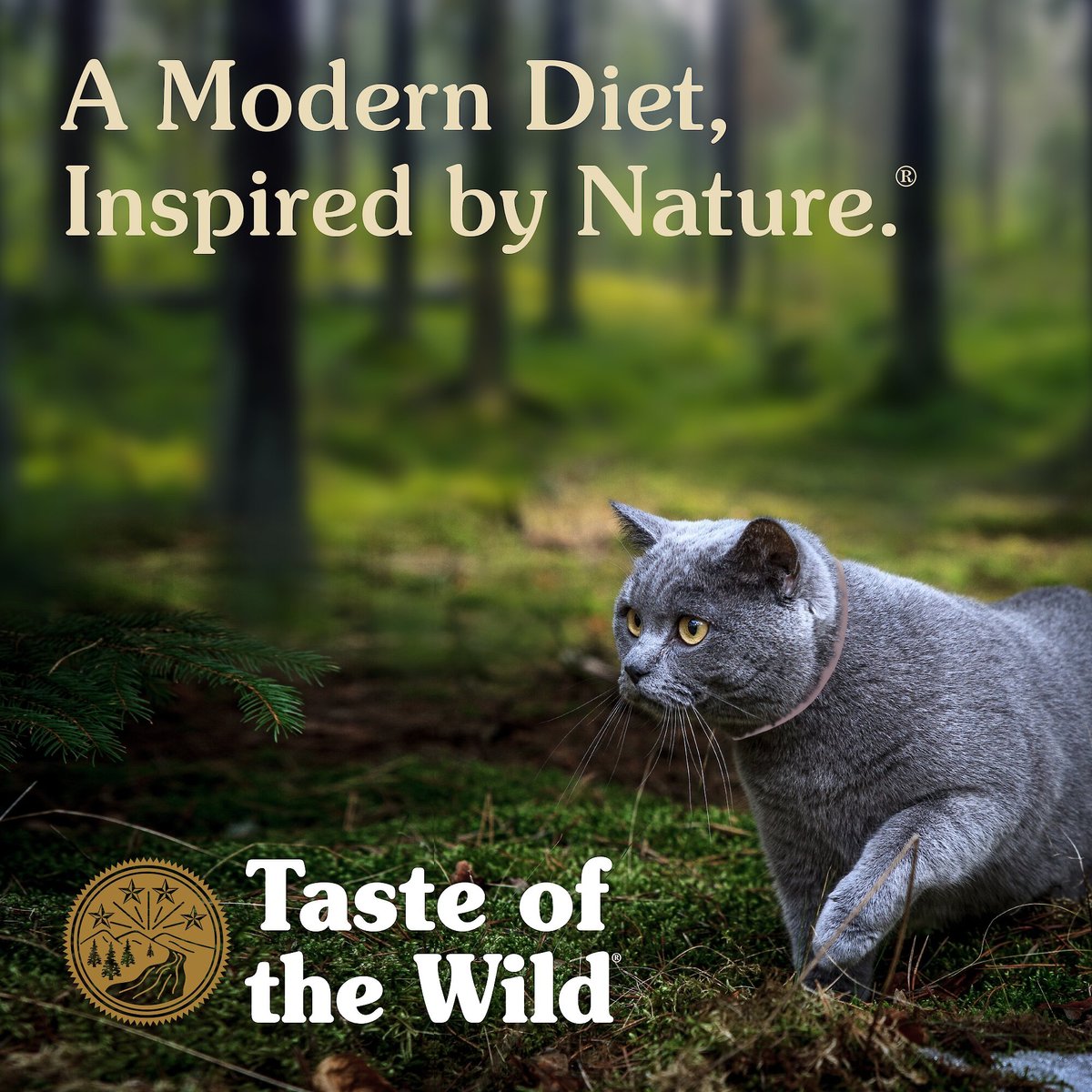 Taste of the Wild Lowland Creek Premium Real Meat Recipe with Roasted Quail and Duck Grain-Free Dry Cat Food