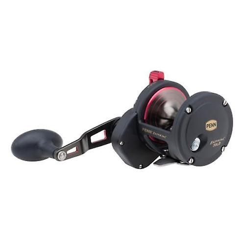 Penn Fathom 25N Lever Drag / Multiplier Fishing Reel