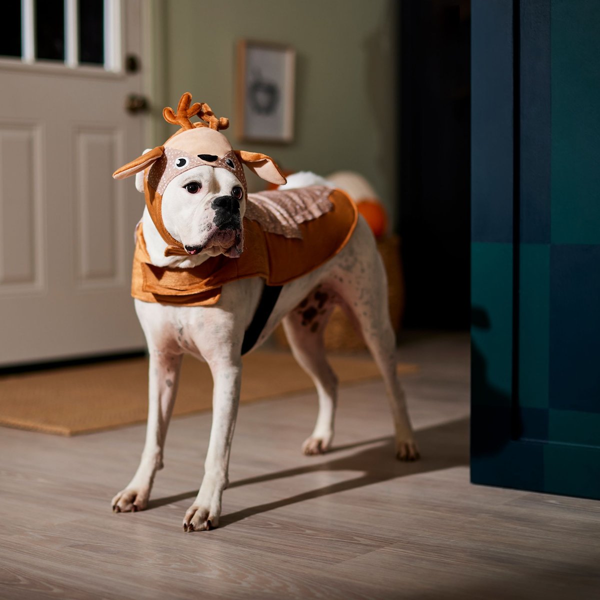 Frisco Deer Dog and Cat Costume