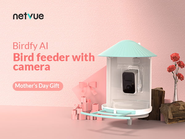 Bird Feeder with Camera， Netvue Birdfy Smart Bird Feeder with Phone App AI Identify Bird Species Night Vision for Bird Watching， Gift Ideas for Moms， Hopper Feeder， Blue (Birdfy AI+Solar)