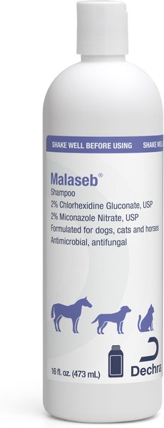 Malaseb Shampoo