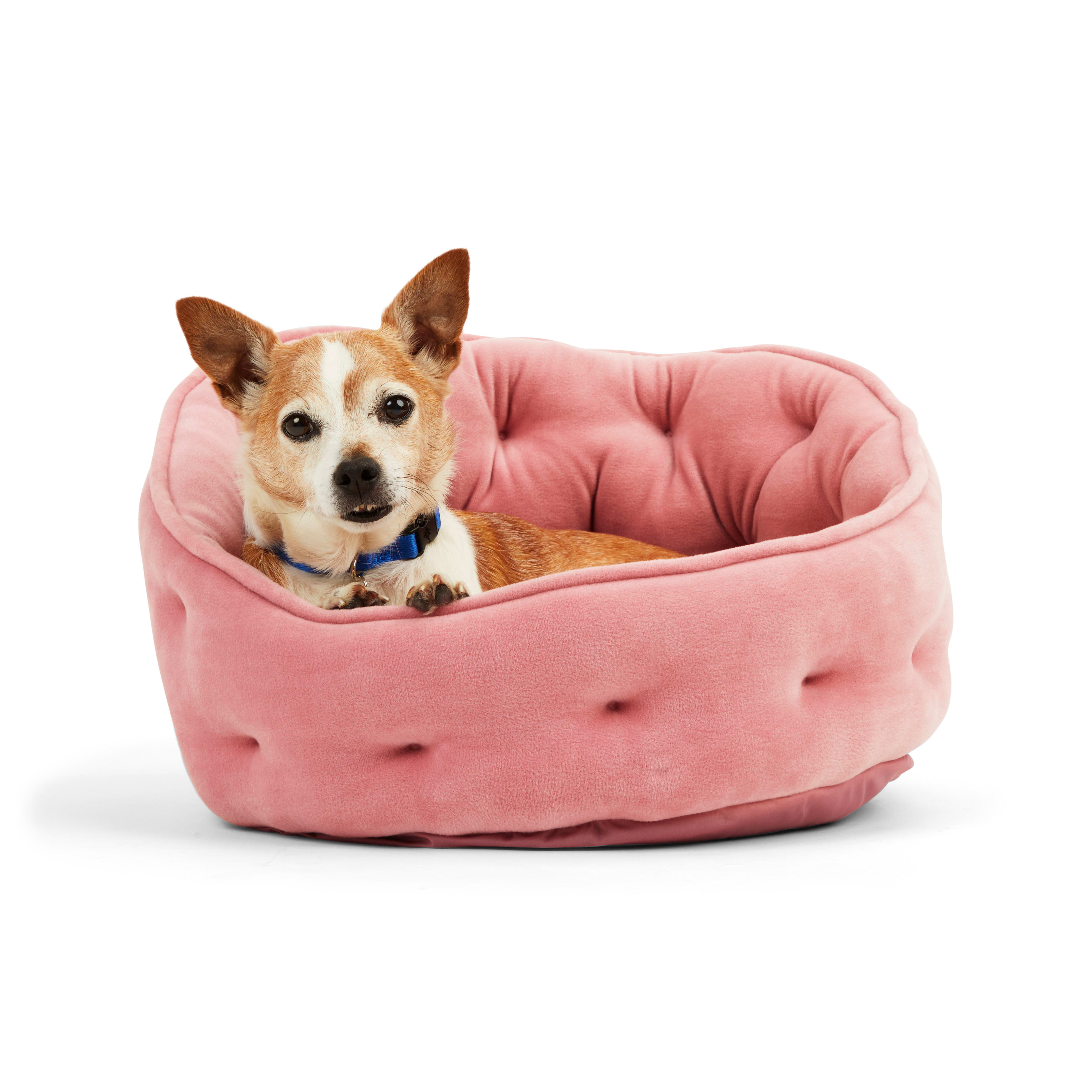 EveryYay Snooze Fest Pink High-Back Bolster Cat Bed， 18