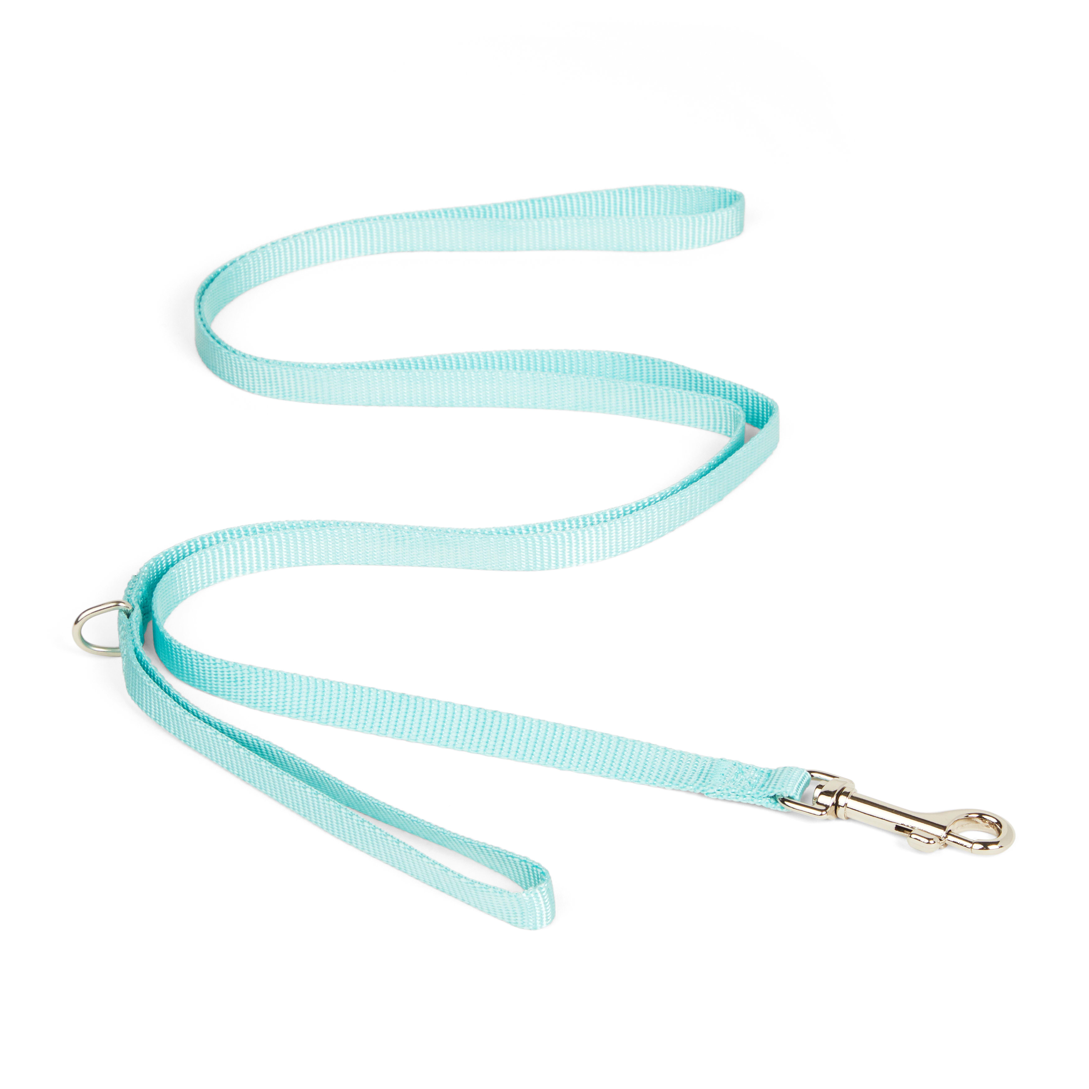 YOULY Turquoise Dog Lead， 6 ft.， X-Small