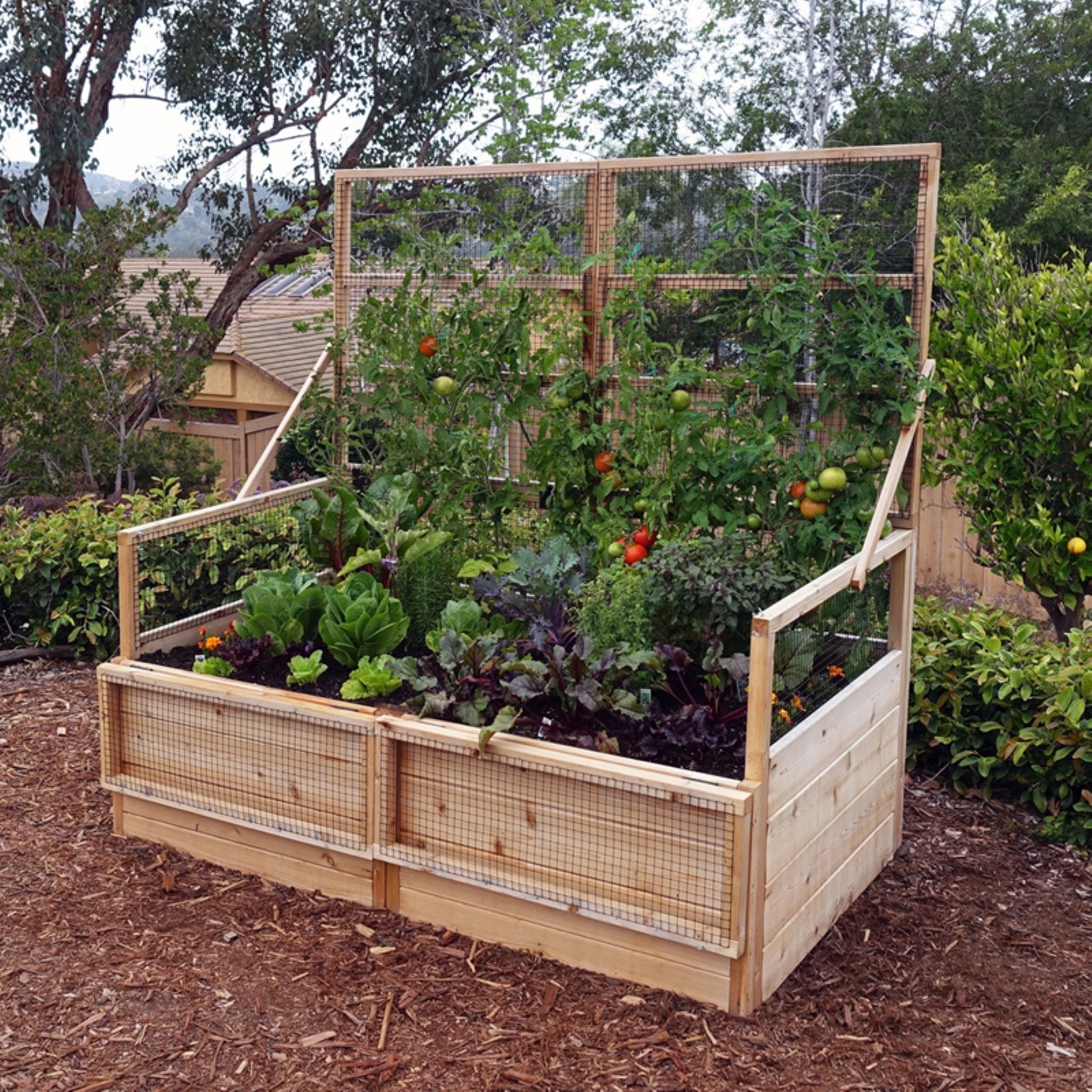 Outdoor Living Today Raised Cedar Garden Bed with Trellis/Lid - 6 x 3 ft.