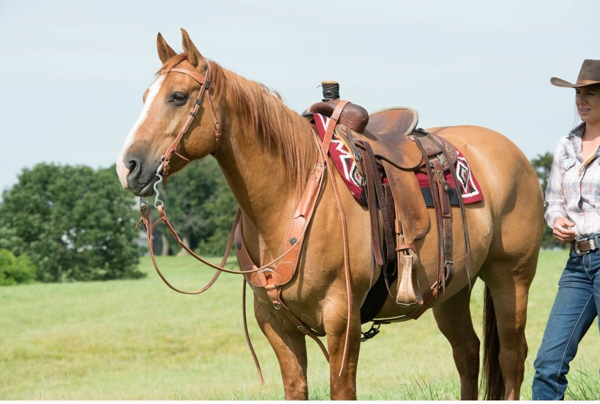 Weaver Leather Single-Ply Heavy Harness Split Horse Reins