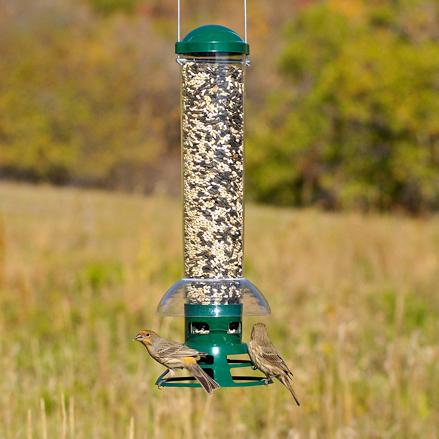 Perky-Pet Green Squirrel Slammer Wild Bird Tube Feeder - 3.5 lb