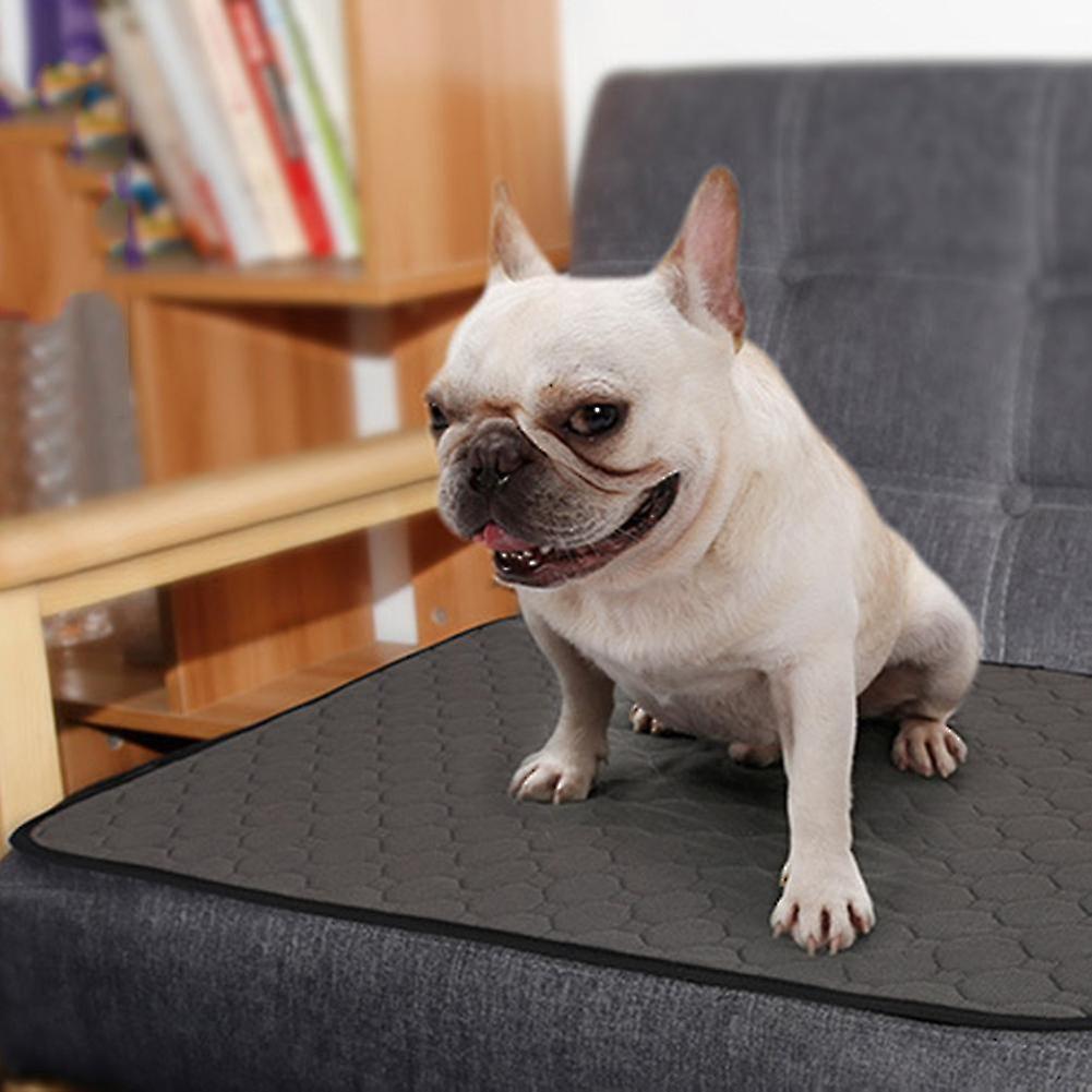 Pet Dog Cat Washable Pee Pad Reusable Potty Urine Training Pads Diapers Bed Sofa Cover (Grey M)