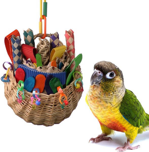 Super Bird Creations Foraging Basket Bird Toy， Medium