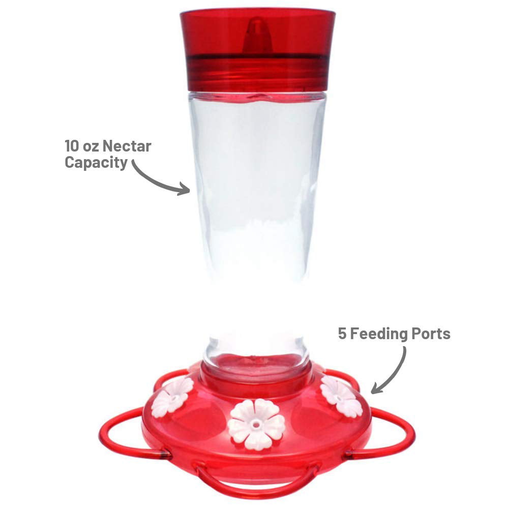 More Birds Ruby Glass Bottle Hummingbird Feeder， 10-Oz Nectar Capacity