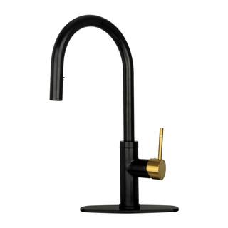 Akicon Single-Handle Pull Down Sprayer Kitchen Faucet with Deckplate in Black and Gold AK96416-BLBG