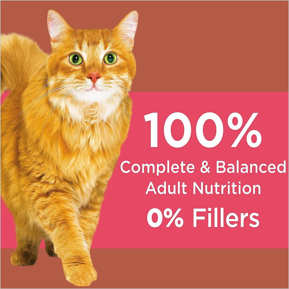 Iams ProActive Health High Protein Chicken and Salmon Recipe Dry Cat Food