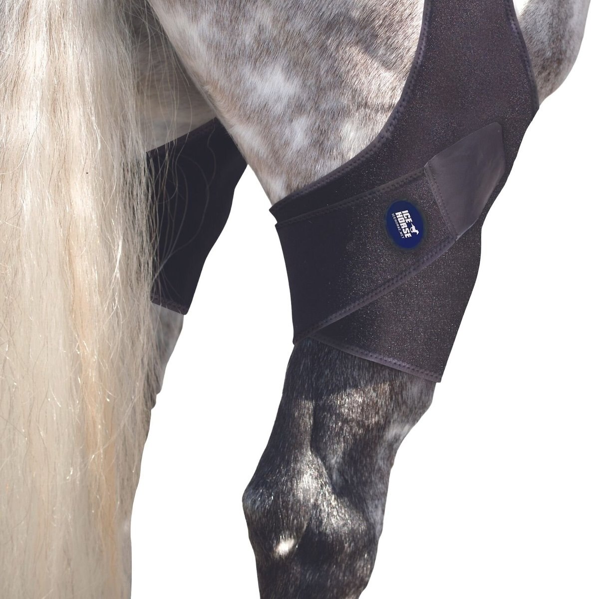 Ice Horse Horse Stifle Wrap， 2 count