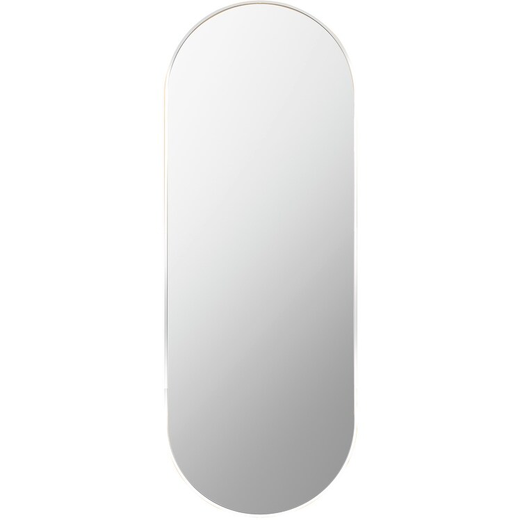 Artistic Weavers Aranya Modern Aluminum Oval Pill Shaped Accent Mirror