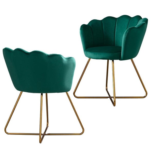 Modern Velvet Set Of 2 Living Room Chair