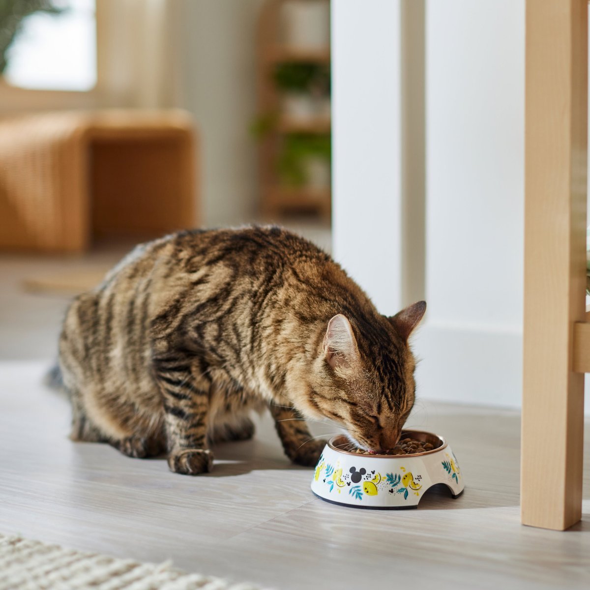 Disney Mickey Mouse Lemon Melamine Stainless Steel Dog and Cat Bowl