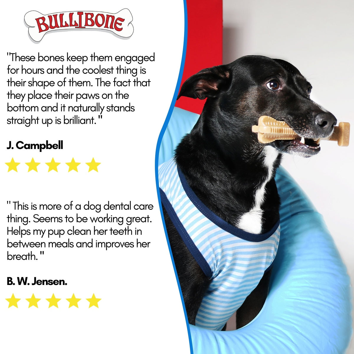 Bullibone Chew Dog Toys， Peppermint SuperBrush， Long Lasting Nylon - Single