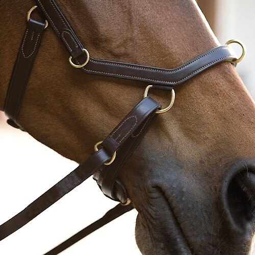 Rambo Micklem Horse Multi Bridle and Reins， Standard Horse