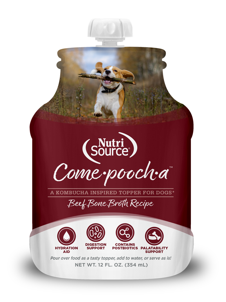 Nutrisource Come-pooch-a Beef Bone Broth With Postbiotics for Dogs