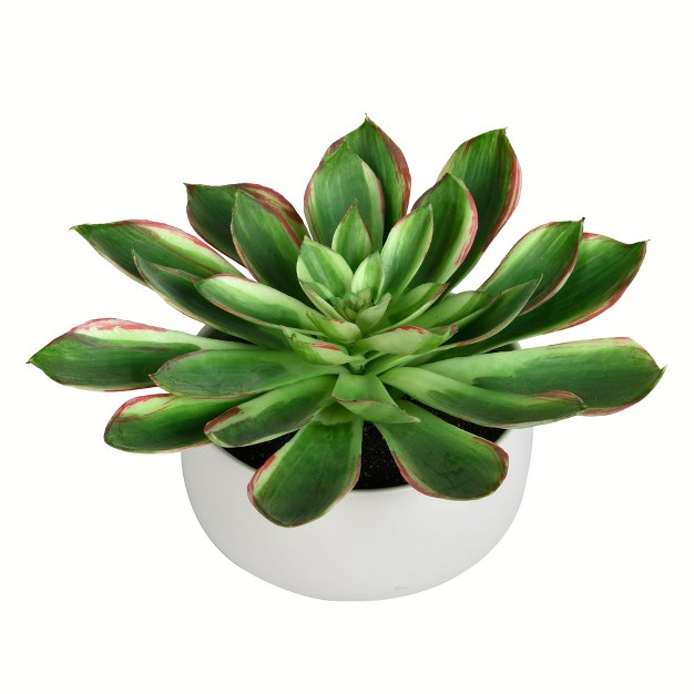 Artificial Potted Green Succulent