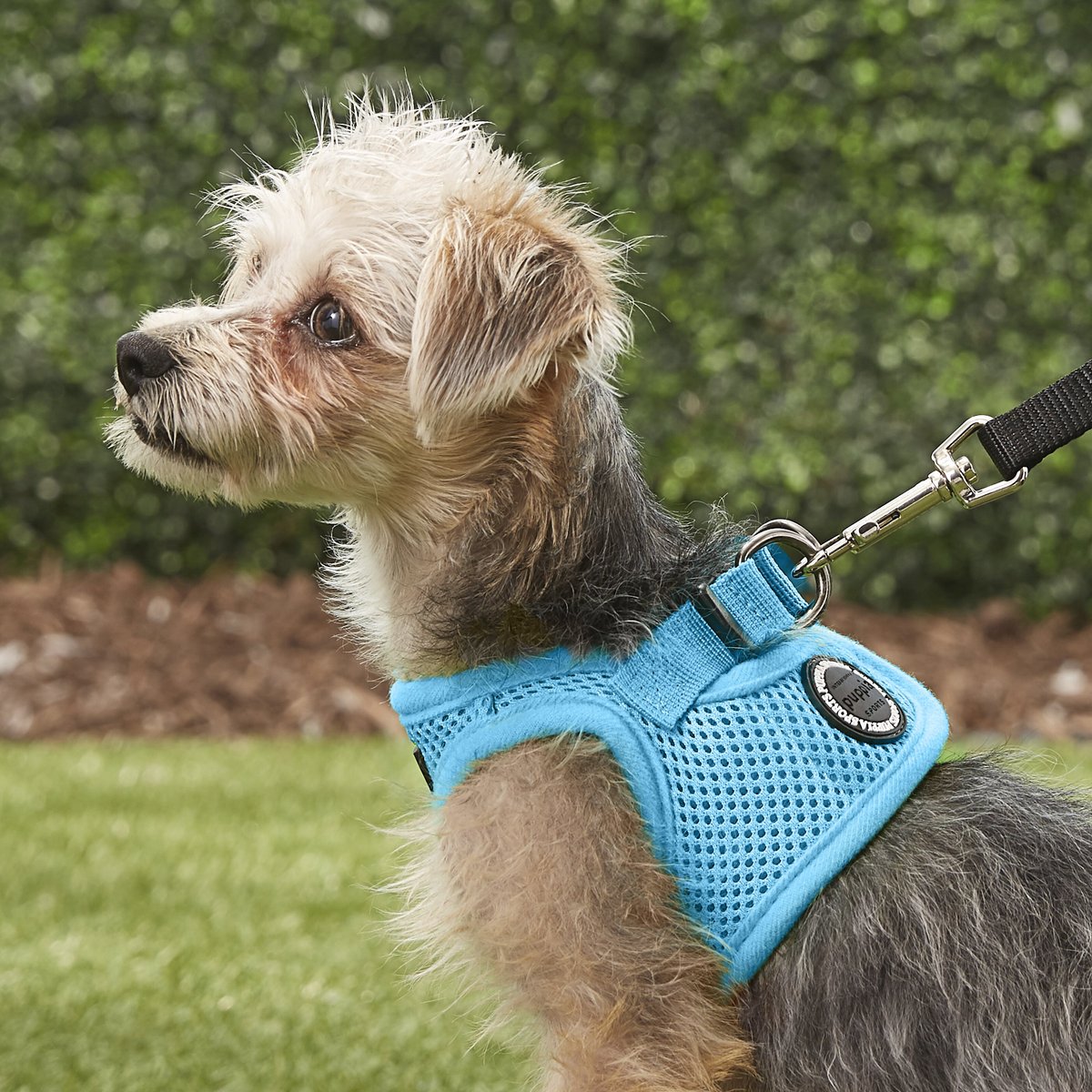 Puppia Vest Polyester Step In Back Clip Dog Harness