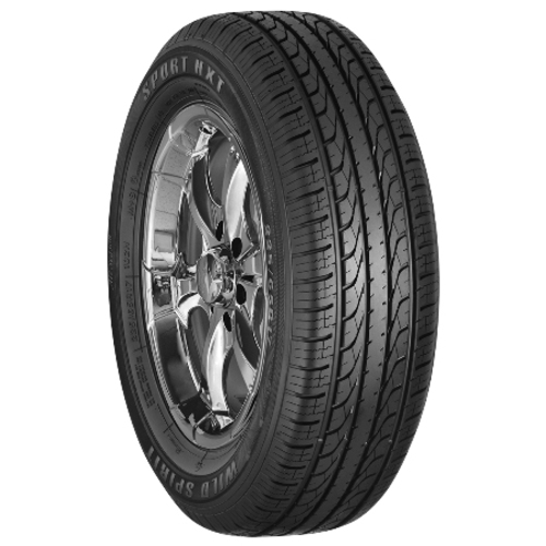 Wild Spirit Sport HXT 25560R19 109H BSW Tires