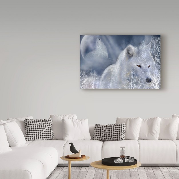 Trademark Fine Art carol Cavalaris x27 white Wolf Painting x27 Canvas Art