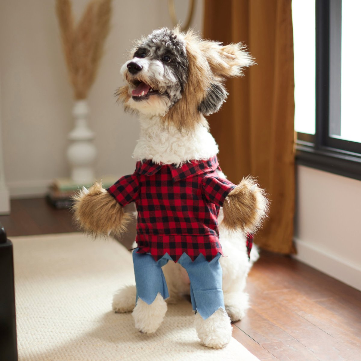 Frisco Front Walking Werewolf Dog and Cat Costume