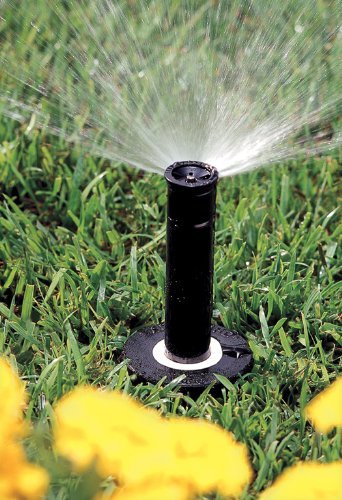 Rain Bird 1804H Professional Pop-Up Sprinkler， 180 Half Circle Pattern， 8' - 15' Spray Distance， 4