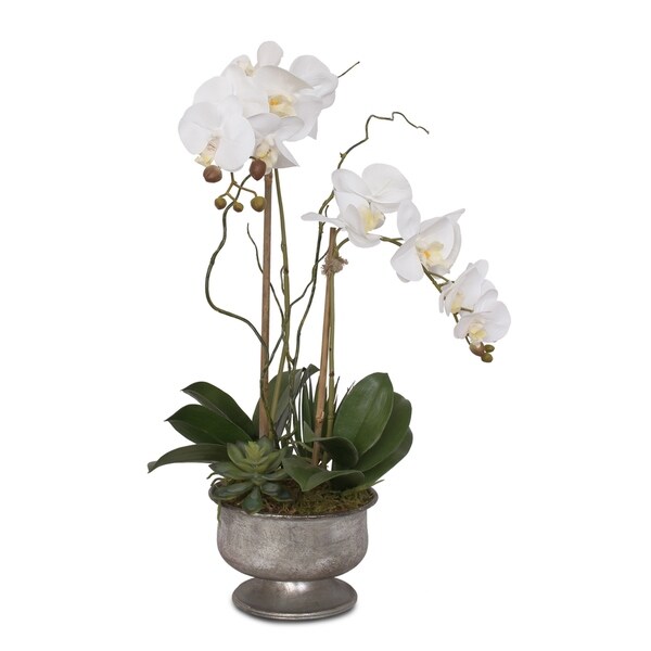 Real Touch White Orchids with Succulent in Silver Aged Metal Pot