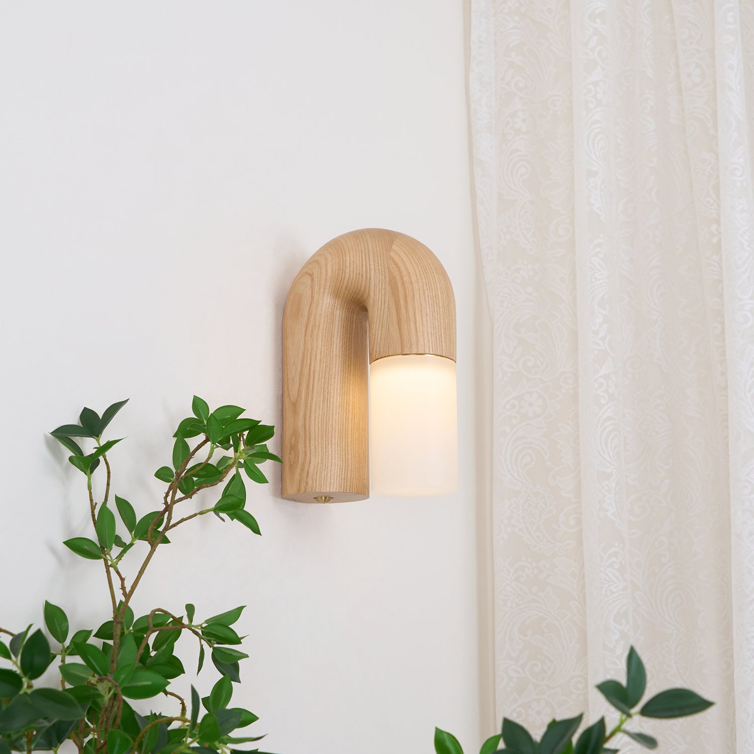 Arcus Wood Wall Lamp