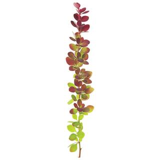 PROVEN WINNERS 4.5 in. qt. Sunjoy Tangelo Barberry (Berberis) Live Shrub Orange and Green Foliage BEBPRC1067800
