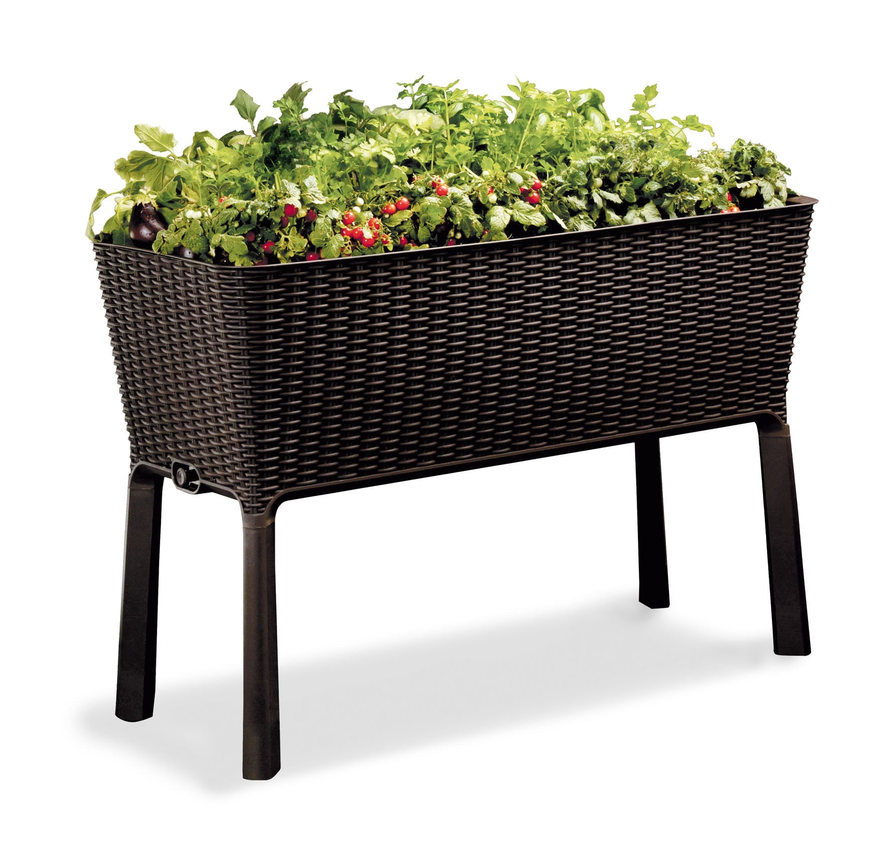 Keter Resin Elevated Garden, All Weather, Self-Watering Plastic Planter, Brown Rattan