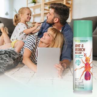 EcoSmart 14 oz. Natural Ant and Roach Killer with Plant-Based Rosemary Oil and Peppermint Oil Aerosol Spray Can (2-Pack) ECSM-33520-01EC