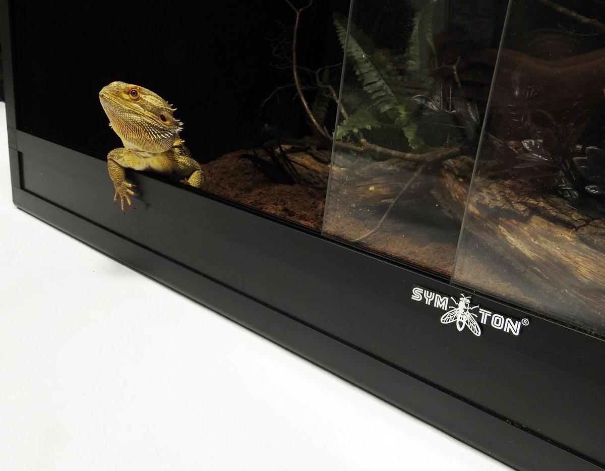 Symton Reptile Terrarium， 120-gal