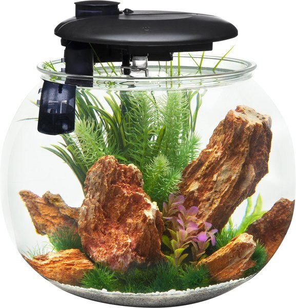 Penn-Plax Aquasphere 360⁰ Fish Aquarium