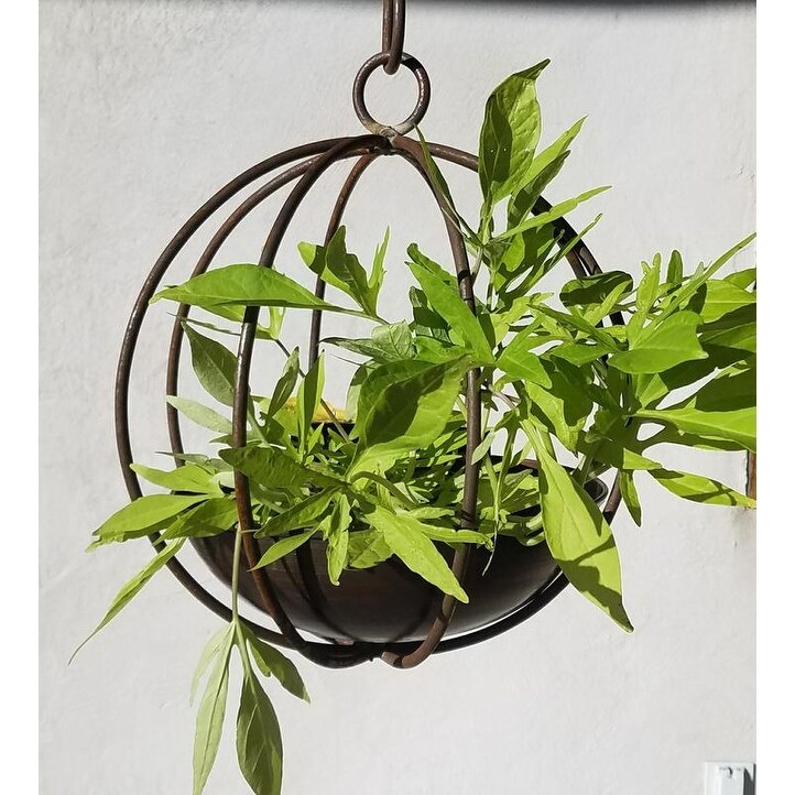 Small Metal Hanging Globe Planter