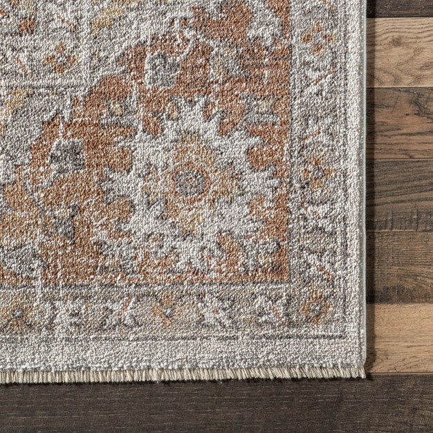 Leanne Traditional Faded Fringe Area Rug