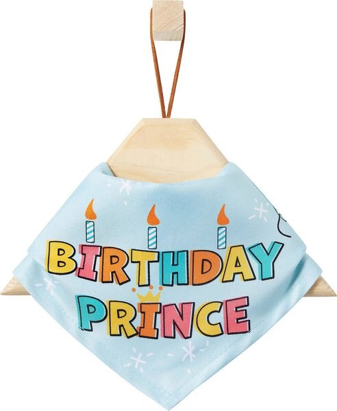 Frisco Birthday Prince Dog and Cat Bandana