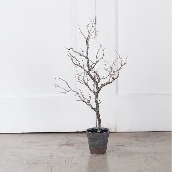 31 Potted Deadwood Twig Tree