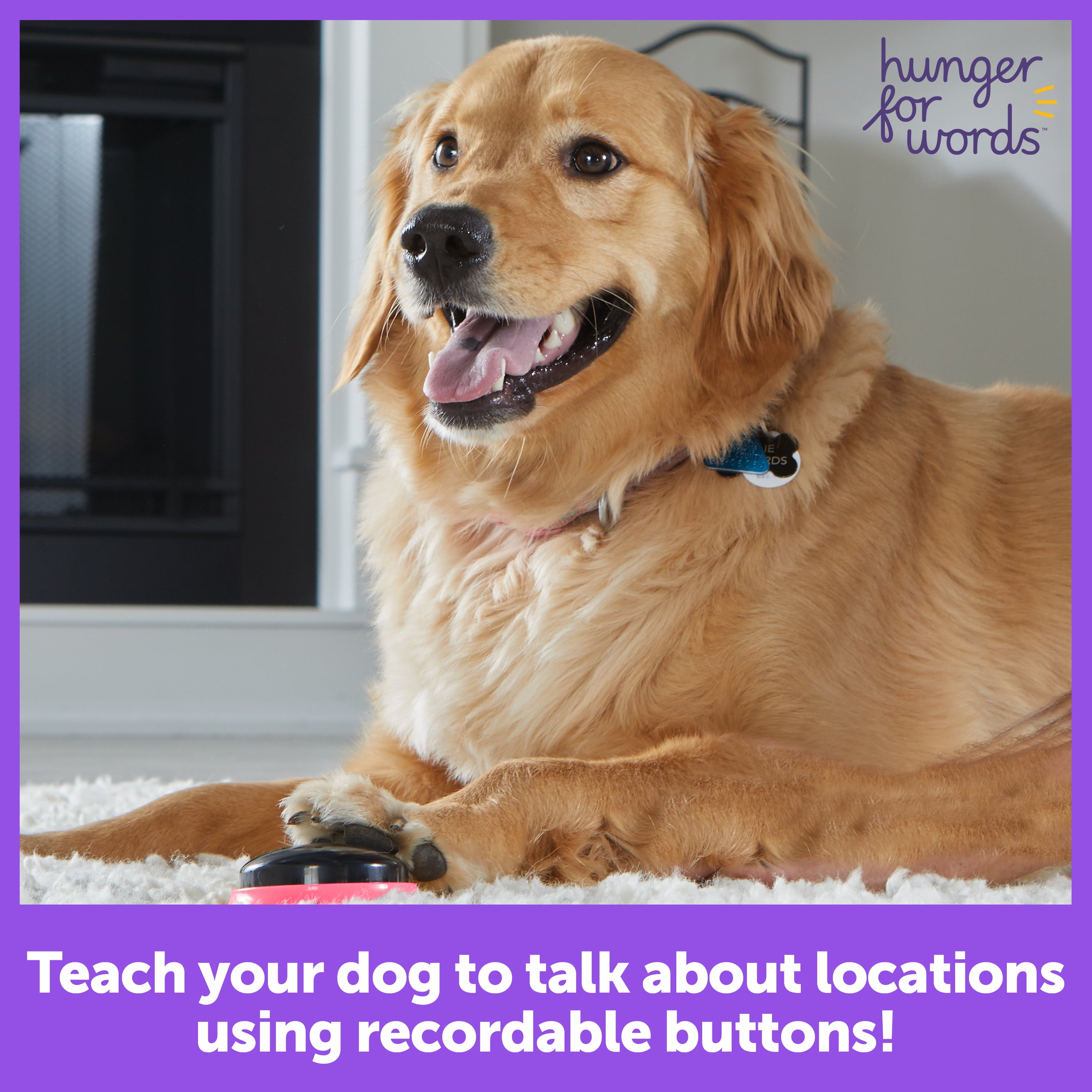 Hunger for Words Locations 3-Piece Recordable Buttons for Dog Communication